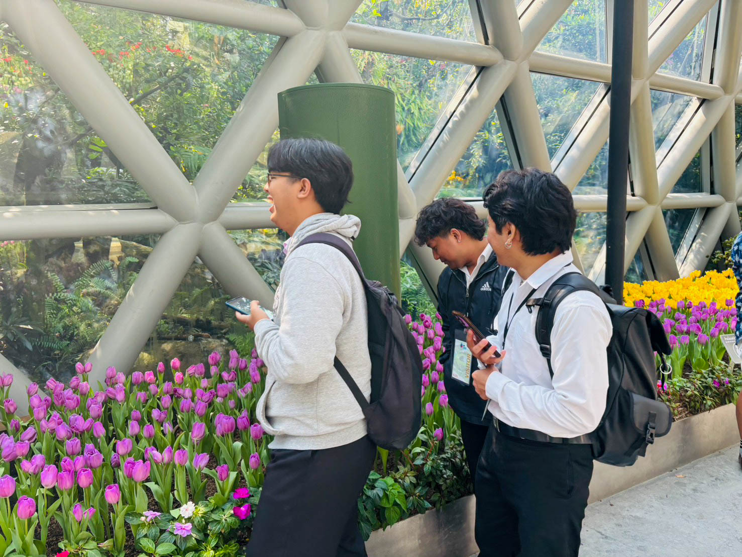 S__72663168_0